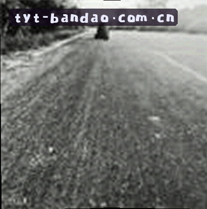 王磊